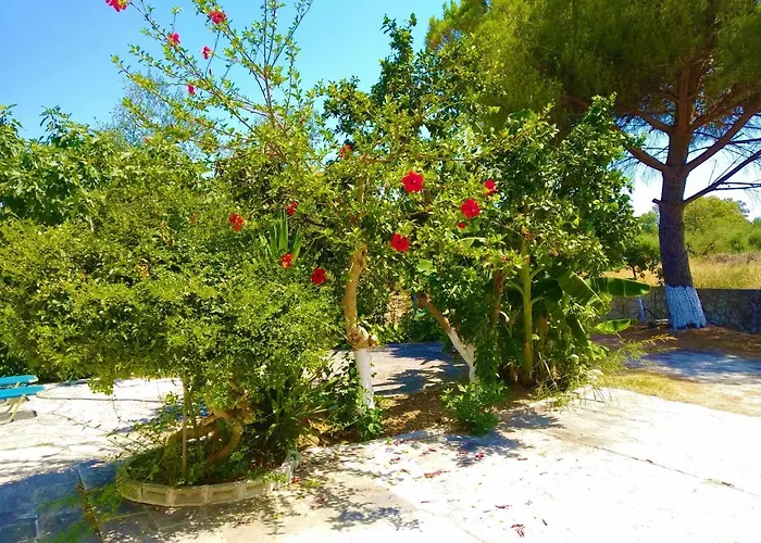 Apartamento Blue By Irene