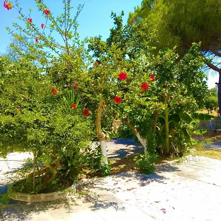 Appartement Blue By Irene