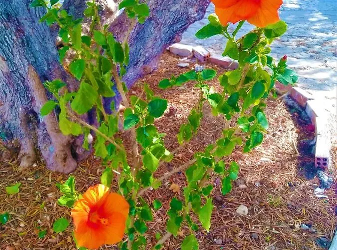 Διαμέρισμα Blue By Irene